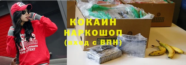 ПСИЛОЦИБИНОВЫЕ ГРИБЫ Белоозёрский