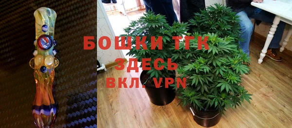 ПСИЛОЦИБИНОВЫЕ ГРИБЫ Белоозёрский