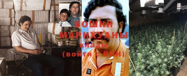 ПСИЛОЦИБИНОВЫЕ ГРИБЫ Белоозёрский