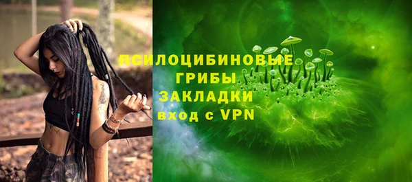 ПСИЛОЦИБИНОВЫЕ ГРИБЫ Белоозёрский